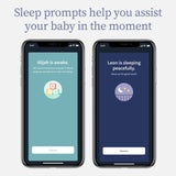 Owlet Dream Sock - FDA-Cleared Smart Baby Monitor with Live Health Readings & Notifications - Dusty Rose