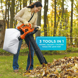 BLACK+DECKER Leaf Blower & Leaf Vacuum, 3-in-1, 12-Amp, 250-MPH, 400-CFM (BV6000)